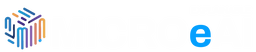 MicroEAI Logo